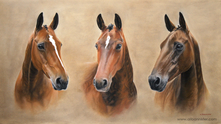 Three Bay Mares